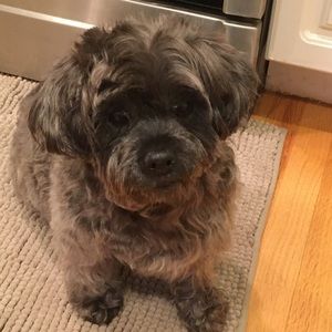 Meet your Posher, Mika